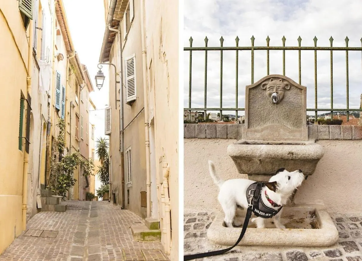 Studio Suquet Avec Parking Cannes